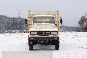 Dongfeng 170 HP Off-road Cargo Truck–Dongfeng 4*4 Pointed Cargo Truck–Pointed Off-road Truck Manufacturer