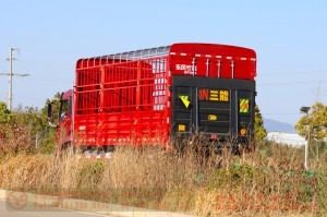 Dongfeng 4×2 Hydraulic Tailgate Truck — 210 HP Box Truck — Commercial Truck Export Manufacturer