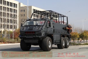 6WD Desert Sightseeing Vehicle–East Scenic Area Special Desert Vehicle–Customized Model Manufacturer