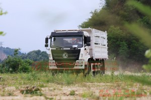 Dongfeng 4×2 Cage-Type Dump Truck — Weichai 210 HP Off-Road Transport Truck — Dump Truck Manufacturer and Exporter