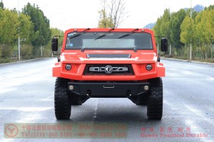 M50 Single Cab Chassis — Export-Ready M50 Chassis for Modification — Authorised Export Manufacturer for M50 Chassis