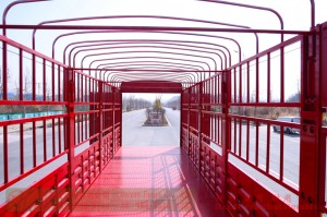 Dongfeng 8*4 barn truck–Dongfeng 500 HP Off-road Transportation Truck–Off-road Special Purpose Vehicle Export Manufacturer