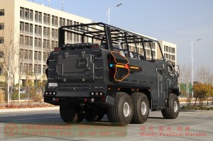 6WD Desert Sightseeing Vehicle–East Scenic Area Special Desert Vehicle–Customized Model Manufacturer
