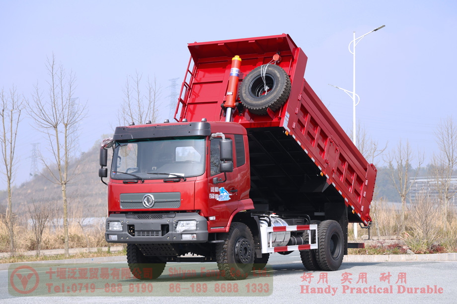 Dongfeng 210 HP Rear Dual Tire Special Off-road Truck