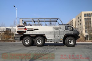 6WD Desert Sightseeing Vehicle–East Scenic Area Special Desert Vehicle–Customized Model Manufacturer
