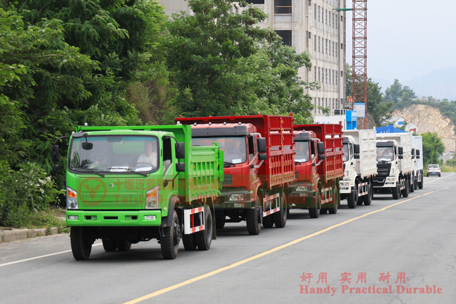 Recent Photos of Various Dump Trucks