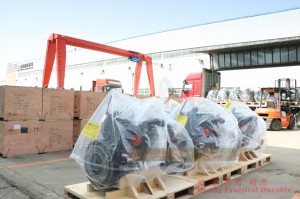 Dongfeng EQ2102 Six Drive Truck Engine