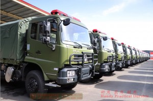 Dongfeng DF1180 ສີ່ລົດບັນທຸກ Off-road ຂັບກັບ Tailboard Hydaurlic